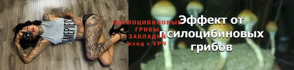 кокс Абаза